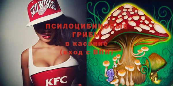 МДПВ Алексин