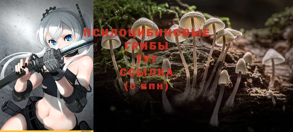 МДПВ Алексин